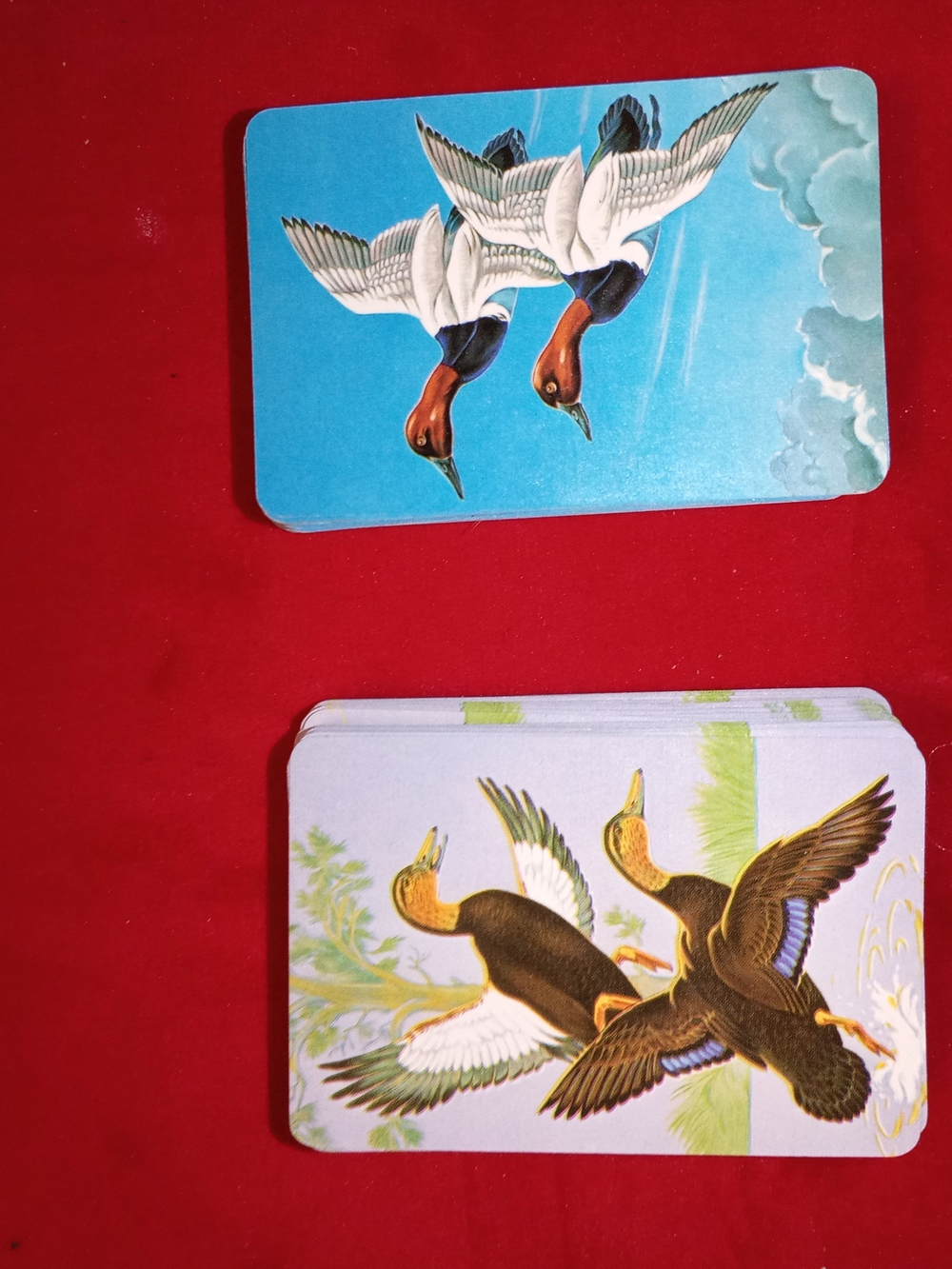 Duck Head Illustrated Duck Playing Cards - Blue & Red